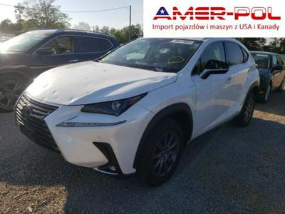 Lexus NX bez wersji 2018, 2.0L, 4x4, po gradobiciu