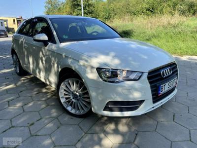 Audi A3 III (8V) Audi A3 Opłacony Klimatronic Ksenon 1.6 TDI 105 KM