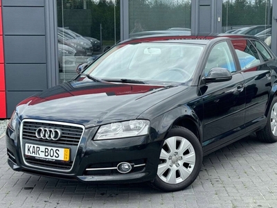 Audi A3 8P Hatchback 3d 1.6 102KM 2009