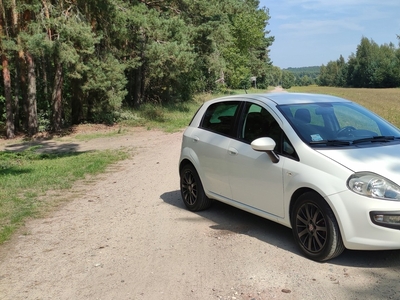 Fiat Punto Punto Evo Hatchback 5d 1.4 16v MultiAir 105KM 2010