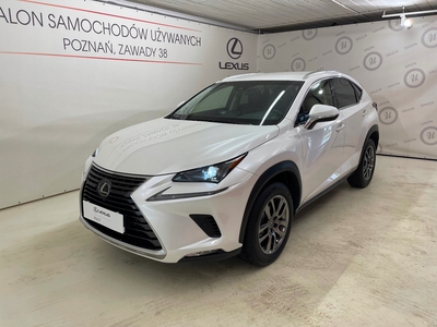 Lexus NX I SUV Facelifting 300 238KM 2018