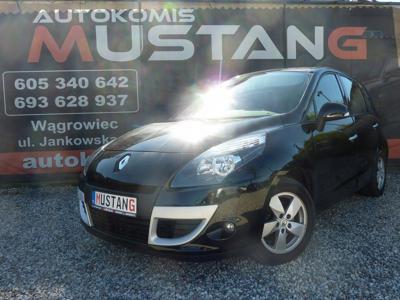 Renault Scenic III Van 1.9 dCi FAP 130KM 2011