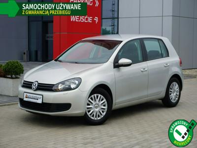 Volkswagen Golf VI Hatchback 5d 1.4 80KM 2010