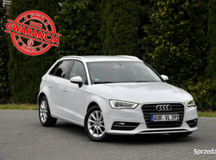 Audi A3 1.6TDI(105KM)*Bi-Xenon*Led*Klimatronik*Welur*Reling*Chrom*Alu16