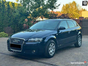 Audi A3 1.8 8P (2003-2012)