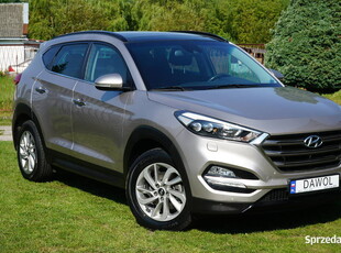 Hyundai Tucson Kamerka Nawigacja Panoramadach 124tys Stan idealny Oryginał