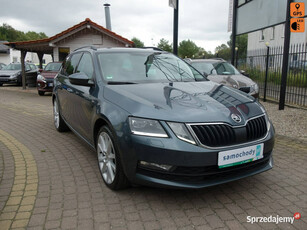 Škoda Octavia Skoda Octavia 2019 2.0 diesel 150 km lampy LED kamera navi I…