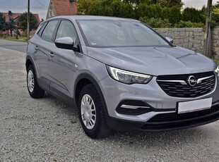 Opel Grandland X Mega Stan/98Tyś/Bezwypadkowy/Ksiązka