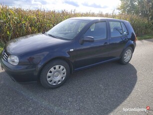 Volkswagen Golf 4