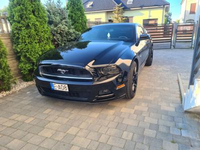 Ford Mustang 2014r 3.7 v6 Base RTR Styl