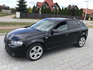 Audi A3 II (8P) 1.6 benz /oryginał/serwis