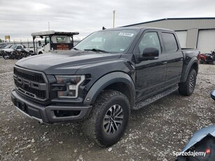 2019 FORD F150 RAPTOR