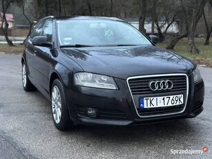 AUDI A3 8P 1,6 TDI , PO LIFT