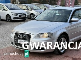 Audi A3 8P