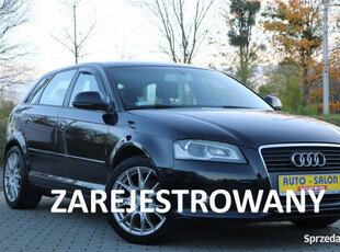 Audi A3 klima,alu,6-bieg,serwis,xenon,zarejestrowany 8P (2003-2012)