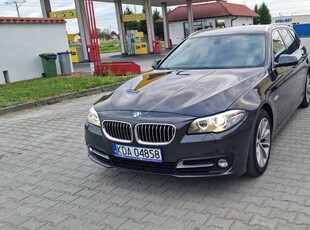 BMW 520 LIFT 2015r Bogate Wyp el ster kier skora kamera el klapa Zarejestr