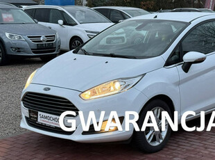 Ford Fiesta Gwarancja,Serwis Mk7 (2008-)