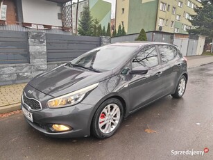 KIA CEED 2013r 1.6 CRDI 110 KM Zarejestrowany