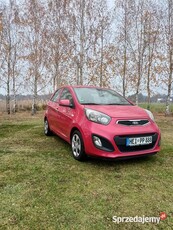 Kia Picanto bogata wersja