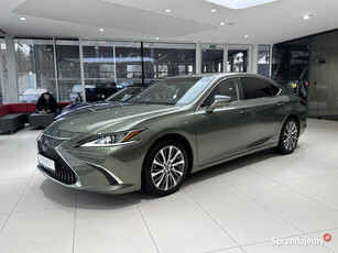 Lexus ES300 Business edition Plus,Kamera, salon PL, 1 wł, dostawa, FV23, G…