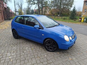 Używany Volkswagen Polo 2002