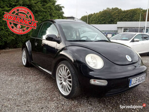 Volkswagen New Beetle I (1998-2010)