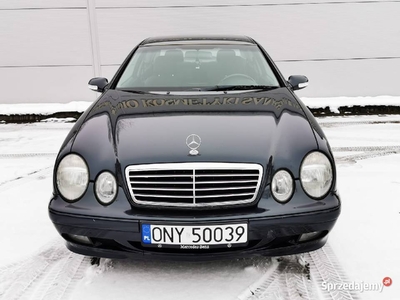 Mercedes CLK