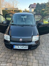 Fiat Panda 1.2 Active Eco