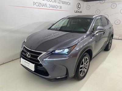 Używane Lexus NX - 114 900 PLN, 101 465 km, 2016