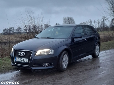 Audi A3 1.6 TDI DPF Ambiente