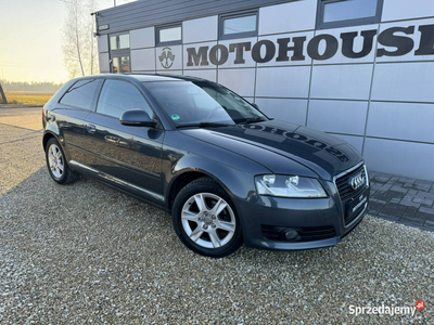 Audi A3 8P (2003-2012)