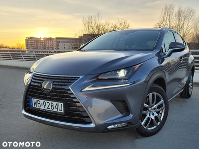 Lexus NX 300 Elegance Optimum AWD