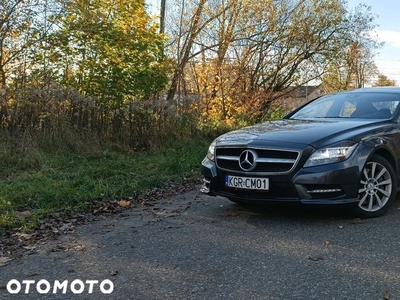 Mercedes-Benz CLS 350 CDI 4-Matic BlueEff