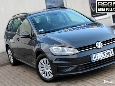 Volkswagen Golf FV23% Gwarancja SalonPL 1WŁ TSI 115KM LED P…