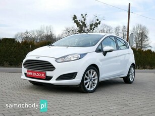 Ford Fiesta Inne