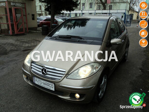 Mercedes A 150 sprzedam ładną A-klase z 2004r 1.5 B 1 rejestr.02.2005r OKA…