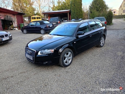 Audi a4 B7 Avant 2.0 TDI 8v