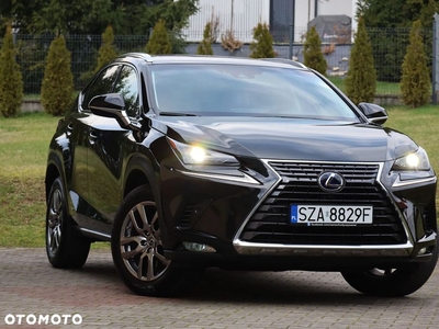 Lexus NX 300h E-FOUR Executive-Line