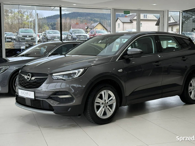 Opel Grandland X Edition S&S, Full LED, NAVI, SalonPL, 1-wł…