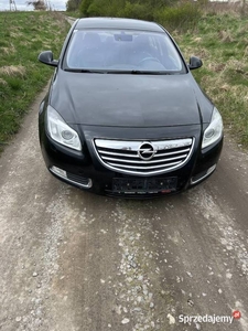 Opel Insignia 2.0 Turbo Benzyna 4x4 Automat