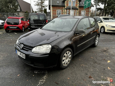 Volkswagen Golf Golf V 1,4-80KM Klima 2007 V (2003-2008)