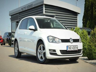 Volkswagen Golf VII Hatchback 3d 1.6 TDI-CR DPF 105KM 2015