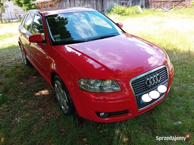 Audi A3 2007r. 2.0FSI,150KM,Ksenon, 6 - Biegowy