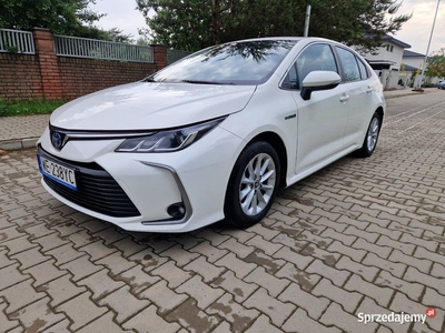 Toyota Corolla 2019 1 rej. 01.2020 Salon Polska Bezwypadkowy F-ra Vat