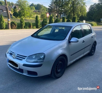 Volkswagen Golf V 1.9 TDI 2004r