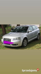 Audi A3 8p 2.0 benzyna