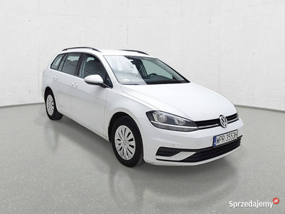 Volkswagen Golf VIII (2020-)