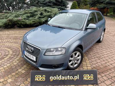 Audi A3 8P Hatchback 3d 1.6 102KM 2009