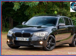 BMW 118d 143KM MPakiet XDrive Alcantara BiXenon Kamera Navi Alu18cali