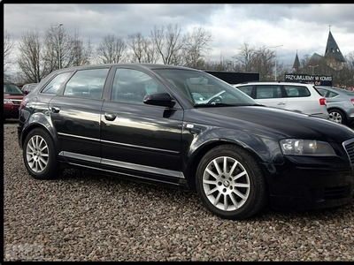 Audi A3 II (8P) 1.9TDi 105KM*Klimatron*Alu*Jeden wł. w PL